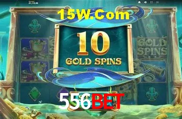 556Bet - User Statistics