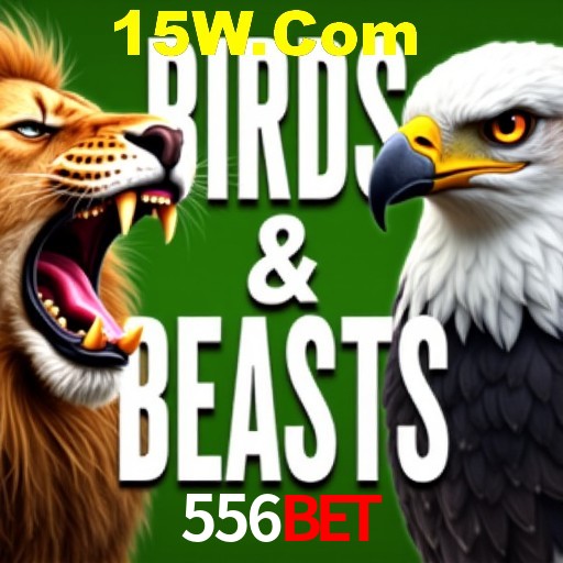Apostas Esportivas na 556Bet: Um Guia Completo